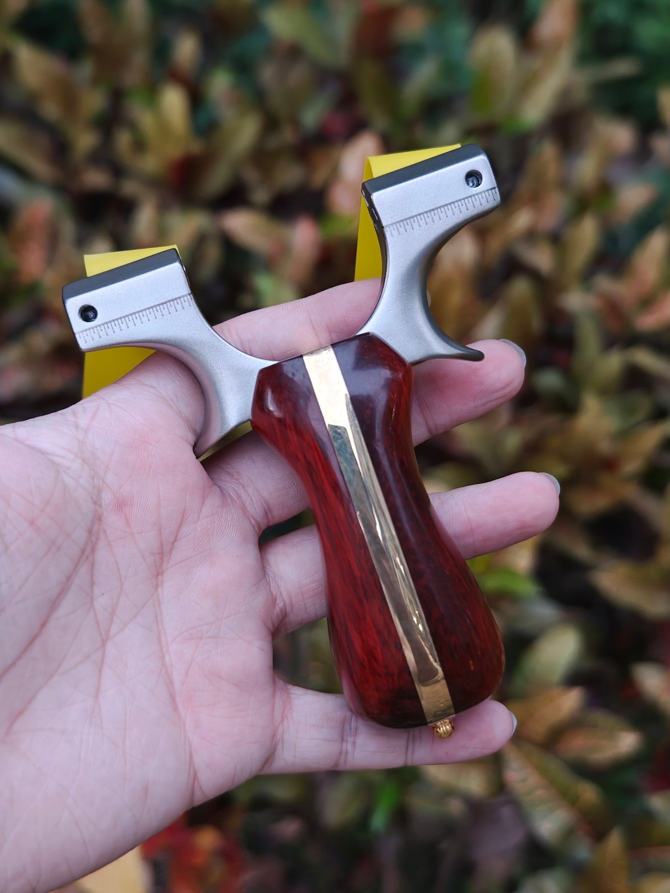 Titan Falke-X02