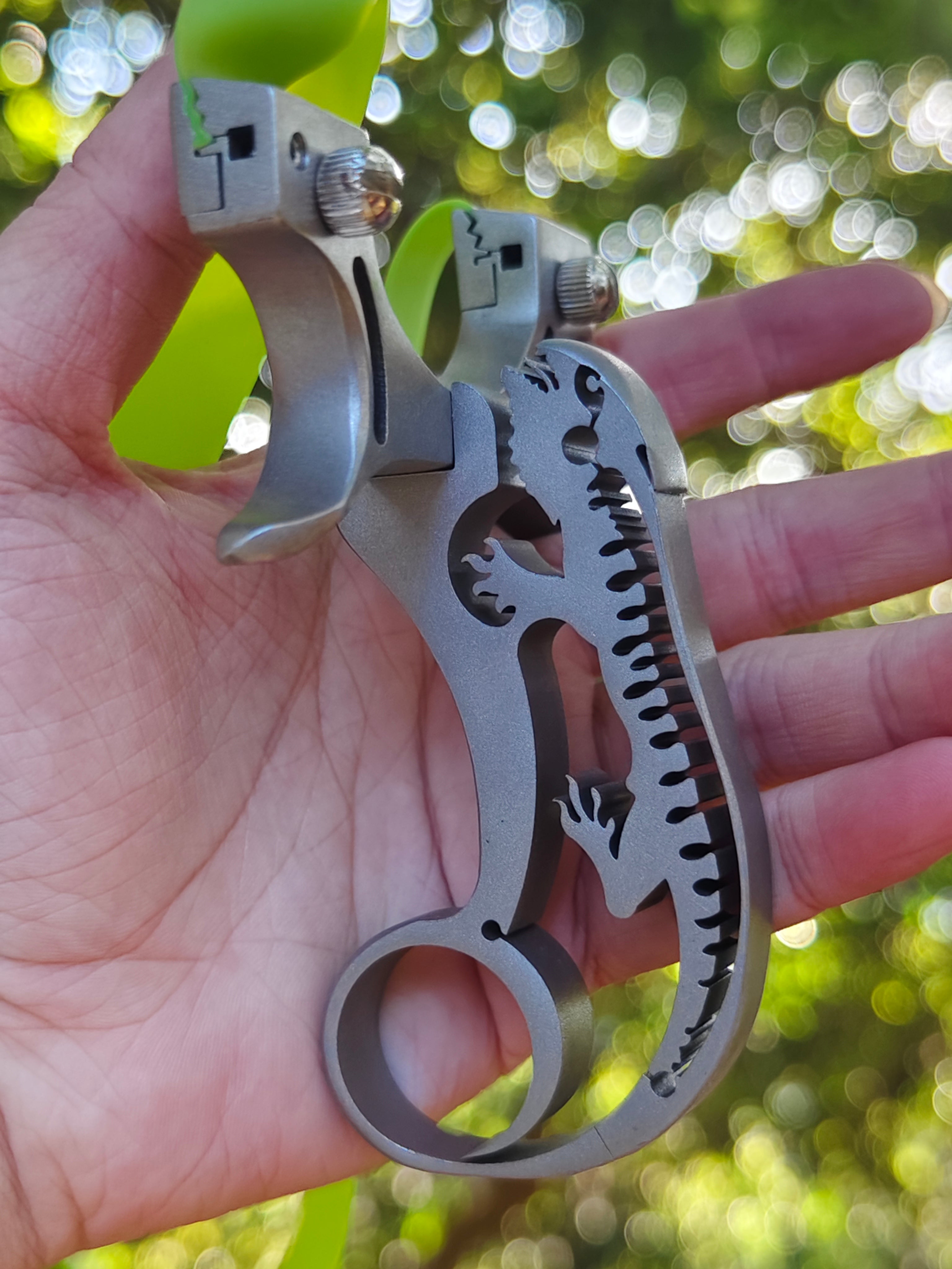 Lizardshot-X11