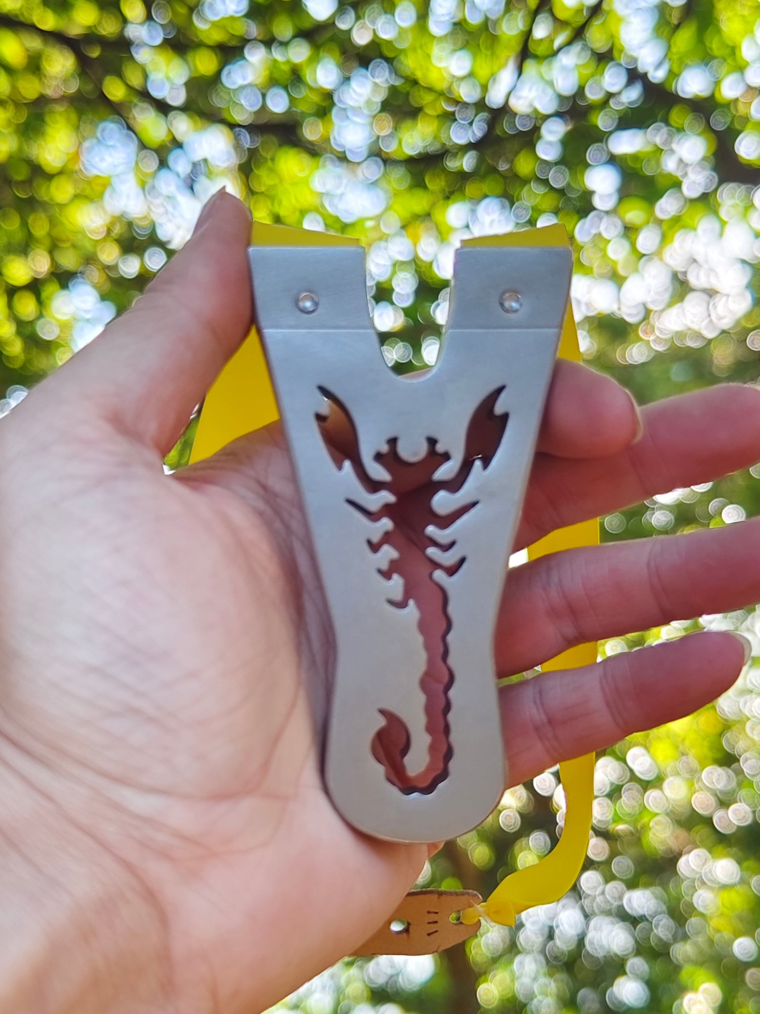 Scorpion d'Ombre-X14