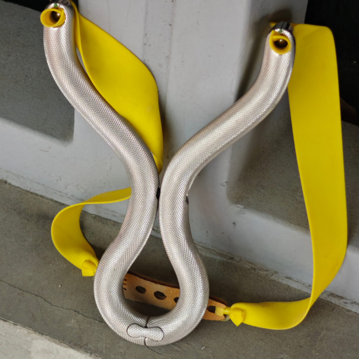 Silver Viper Pro-Z01S