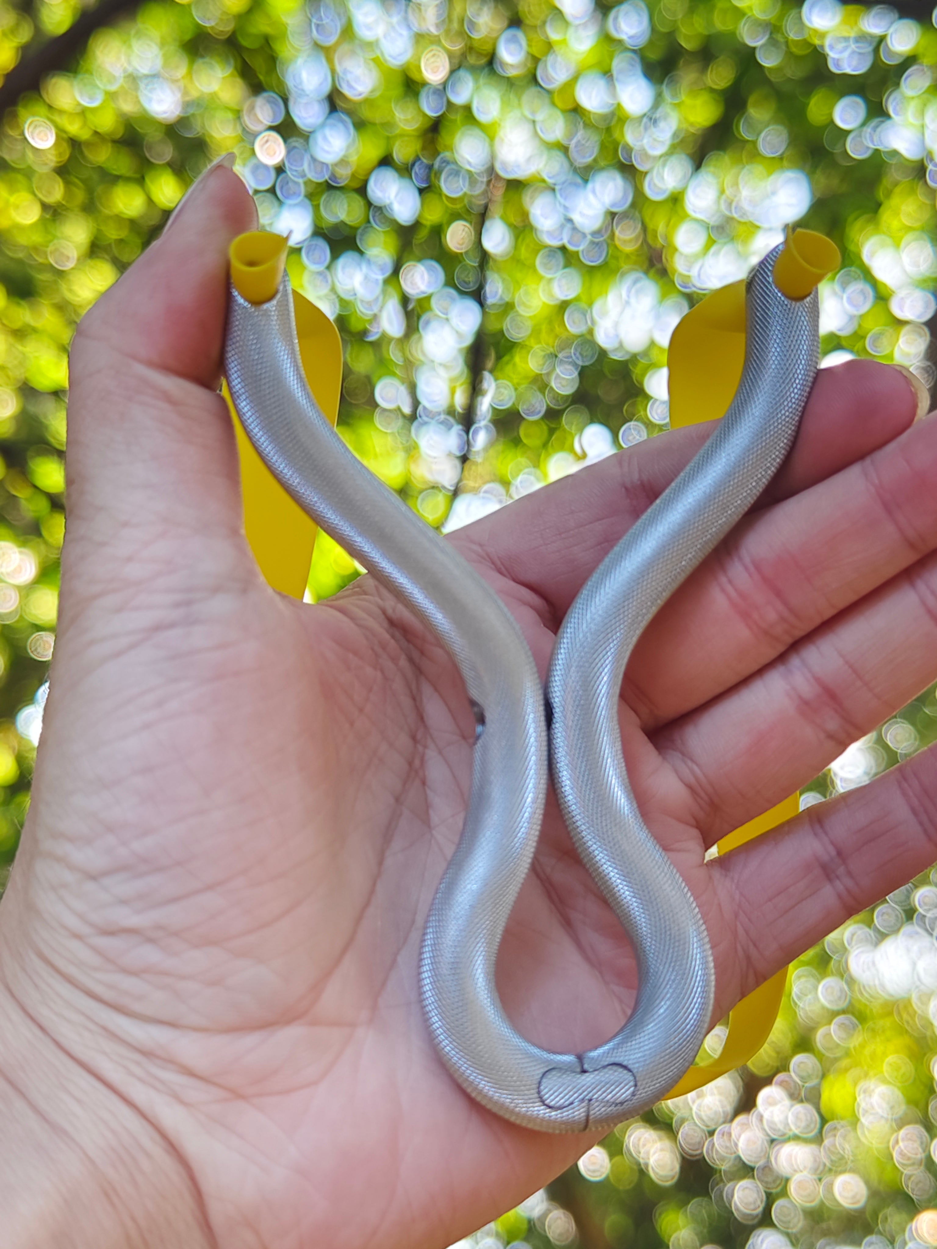 Silver Viper Pro-Z01S
