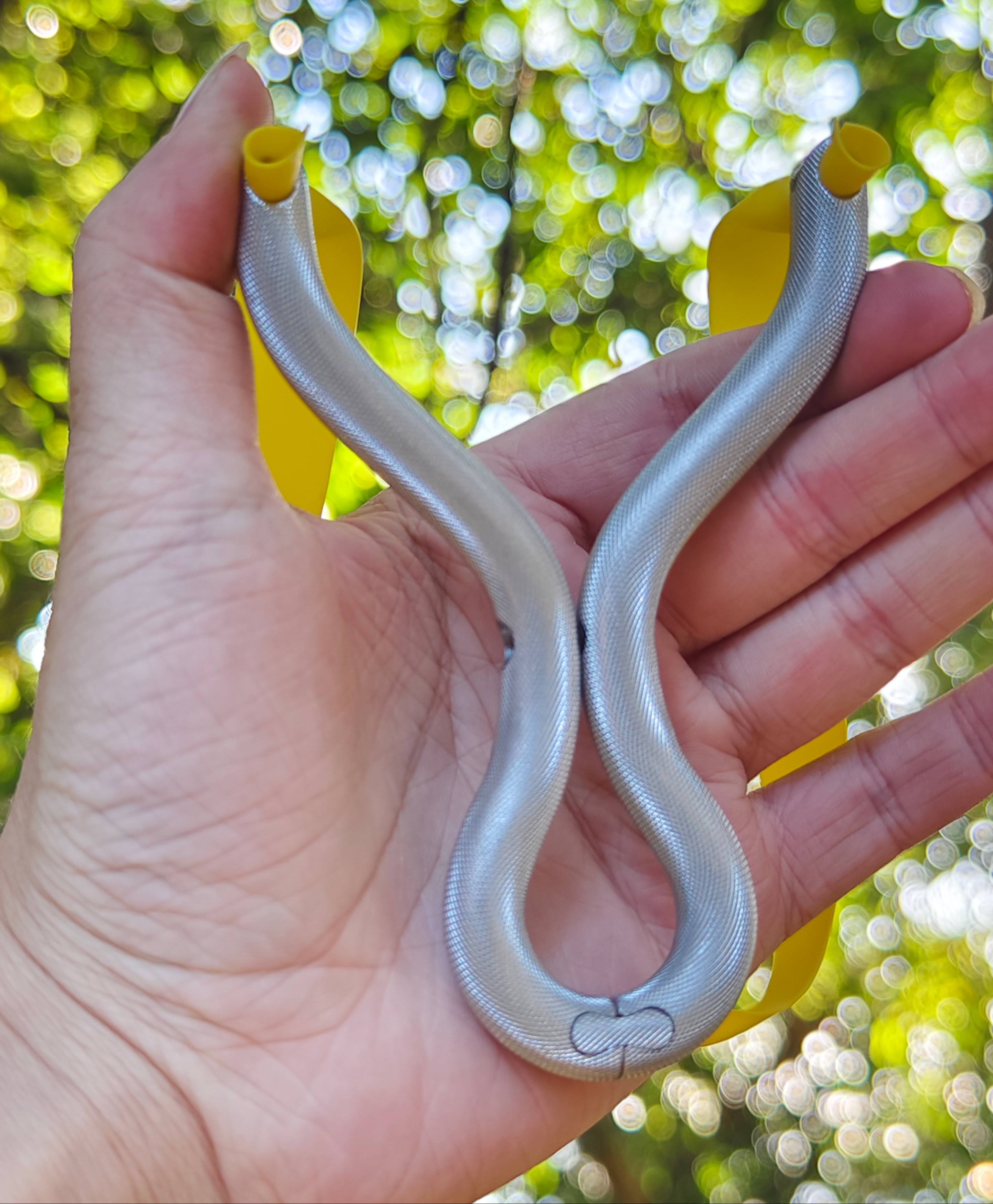 Silver Viper Pro-Z01S