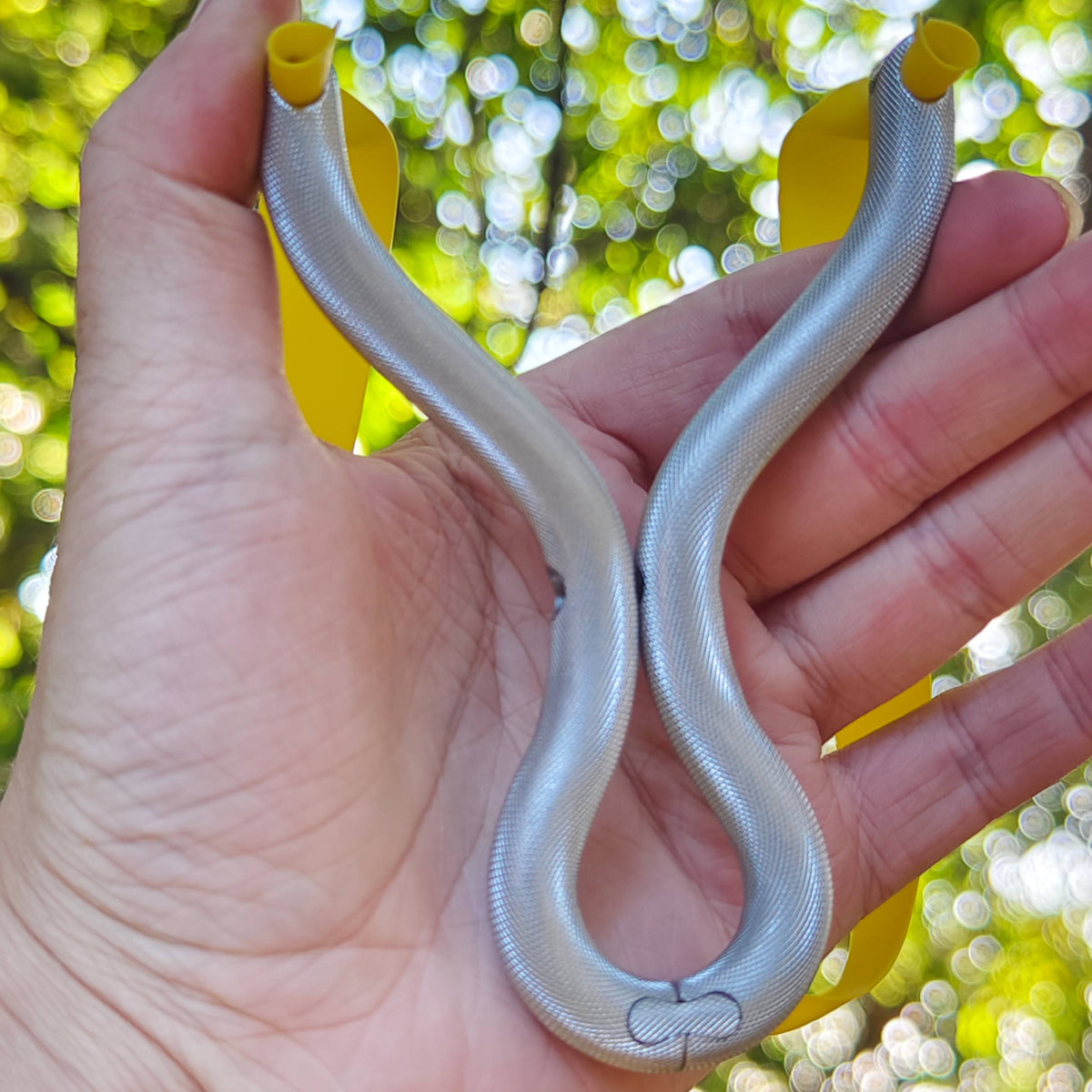 Silver Viper Pro-Z01S