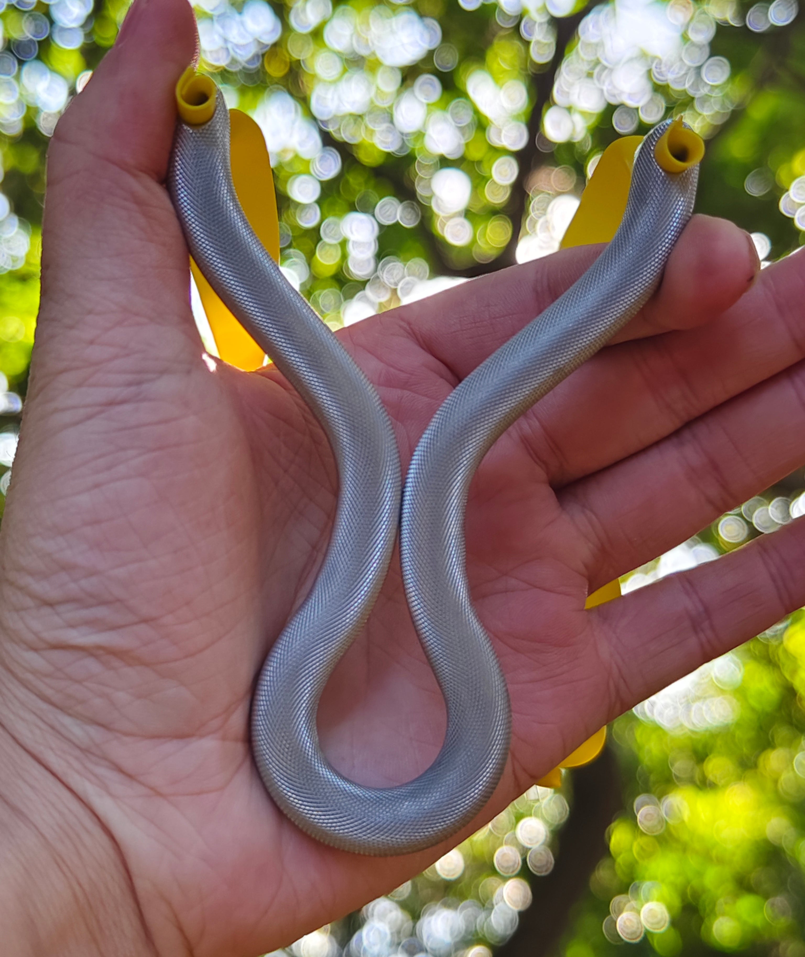stainless steel catapult with ergonomic grip
Cold-bent stainless steel catapult featuring polished finish and ergonomic handle for comfortable, accurate shooting.